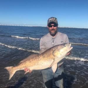 Meet your Posher, Loel